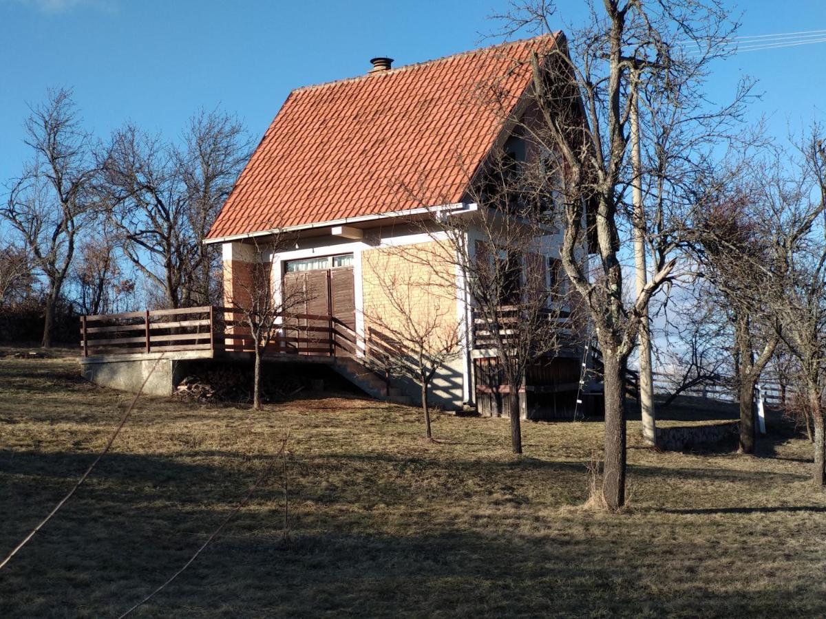 Srdica Kuca Villa Trnava  Exteriör bild